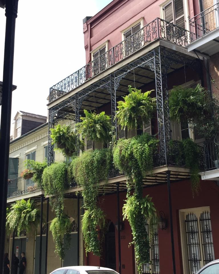 French Quarter building with ferns on railings
