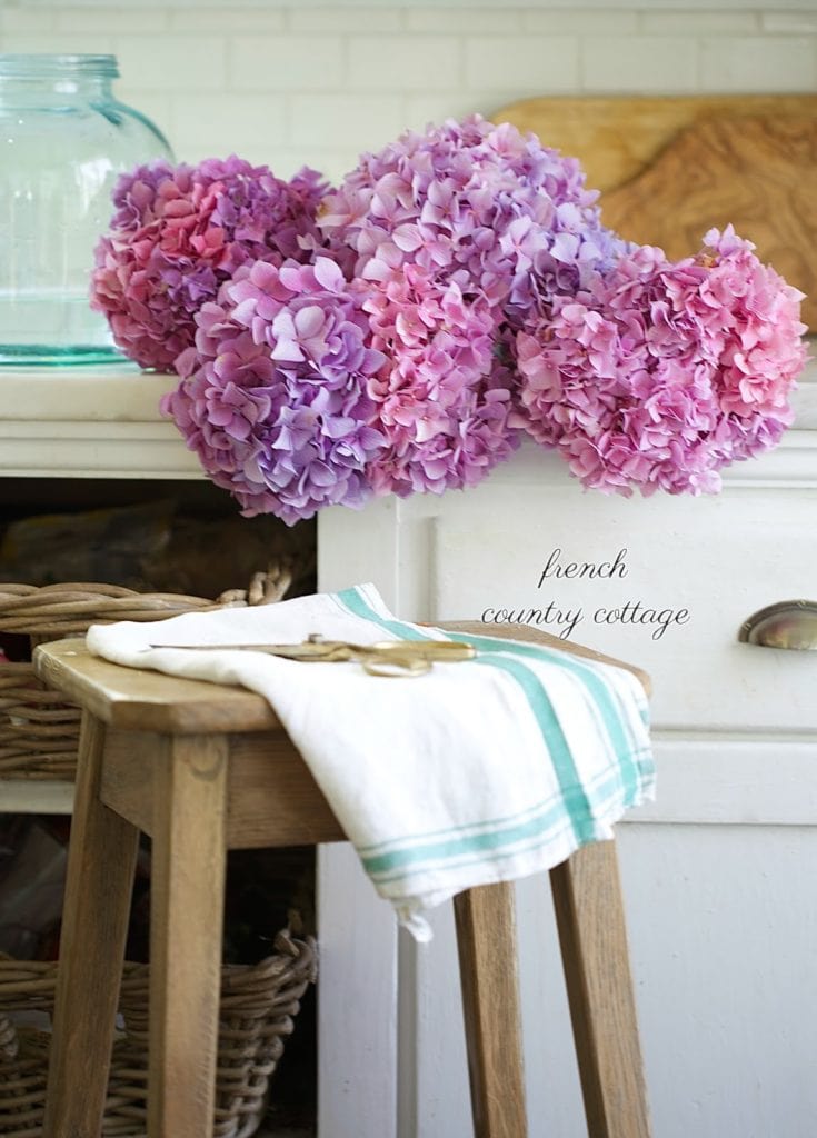 flowers on counter in kitchen 
