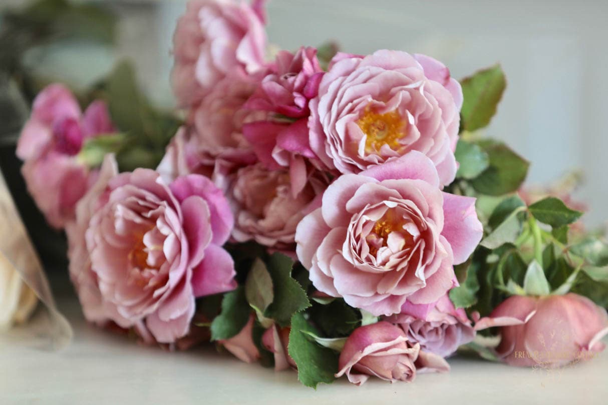 5 Tips for Fresh Cut Flowers that Last Longer French Country Cottage