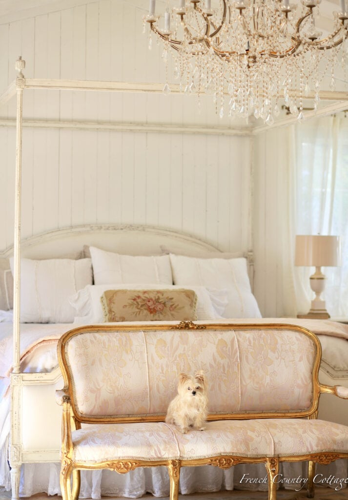 our dog Sweet pea on settee in bedroom with Chandelier 