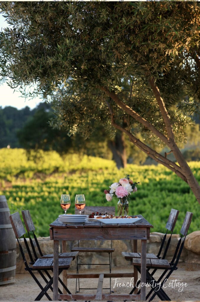 table in vineyard 