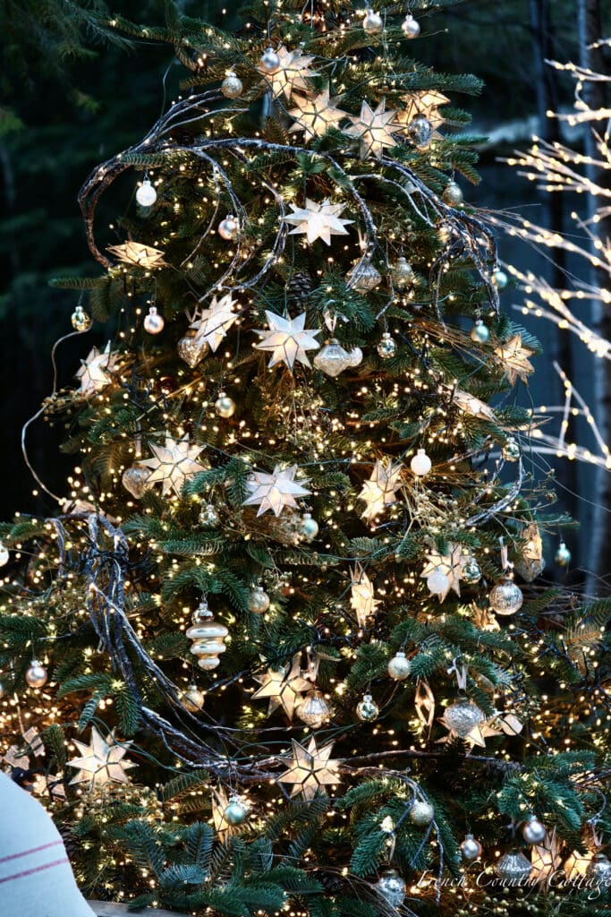 Close up of Christmas tree 