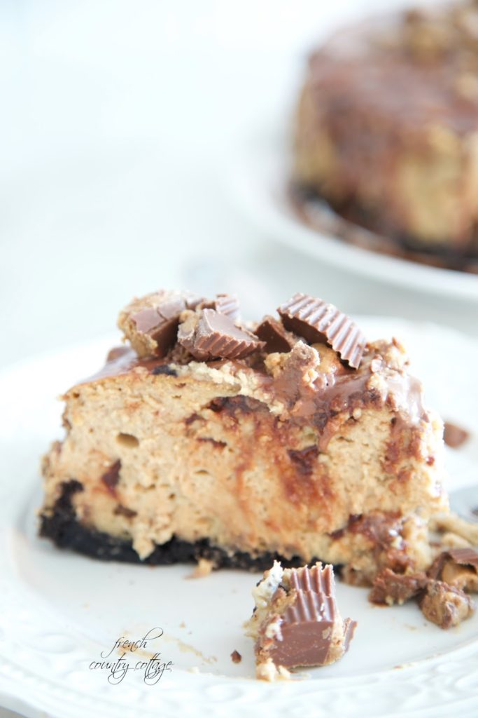 peanut butter cup cheesecake 