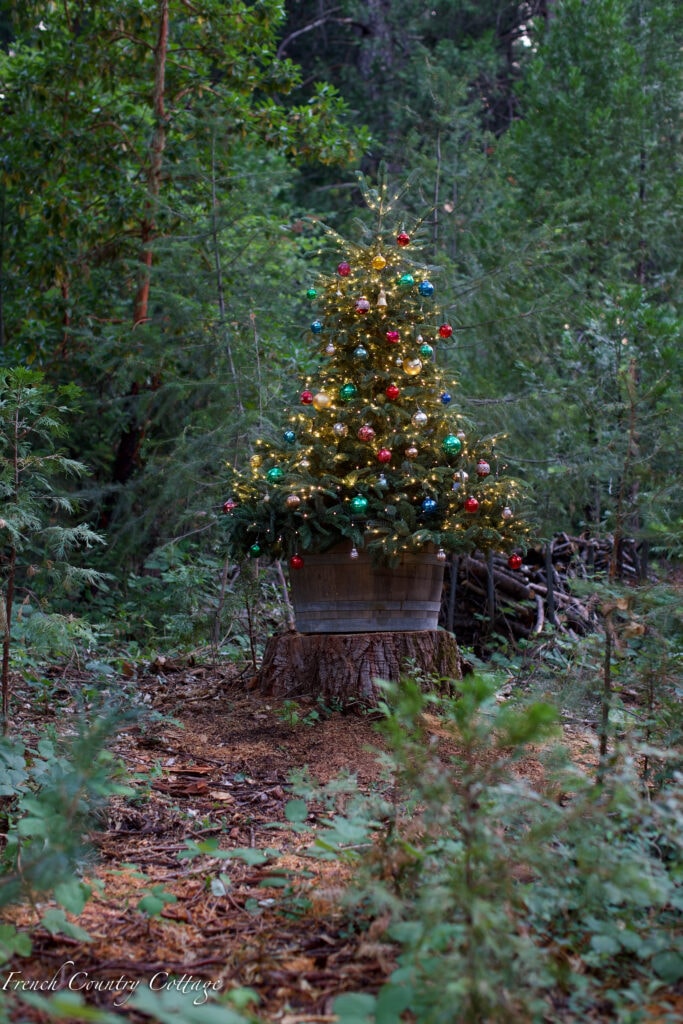 Christmas tree on stump