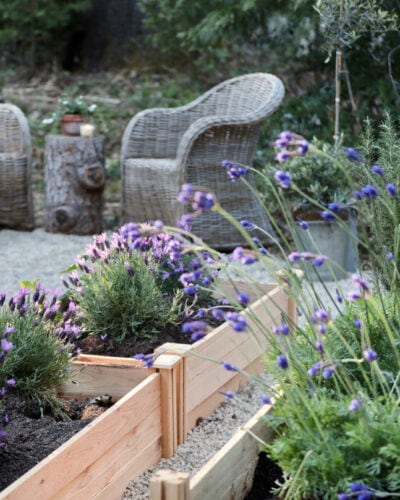 greenhouse garden