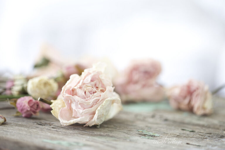 3 Easy Ways to Dry Flowers for Decor French Country Cottage