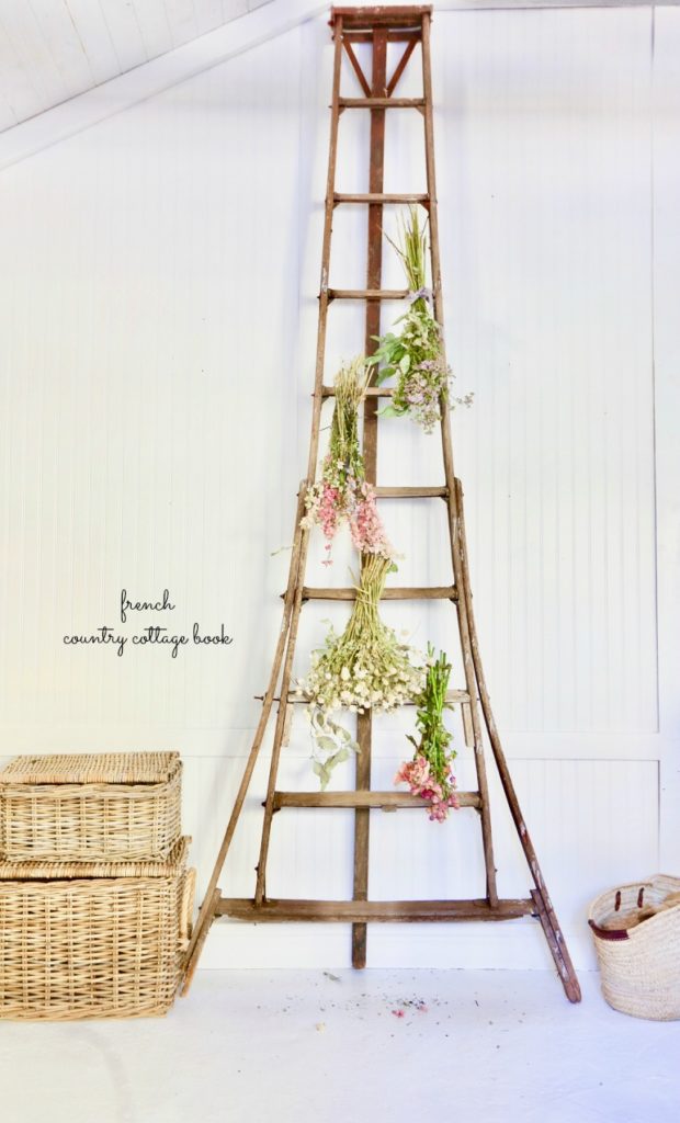 drying flowers on ladder