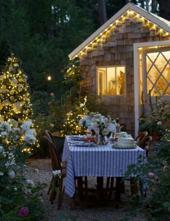 Christmas in the summer garden